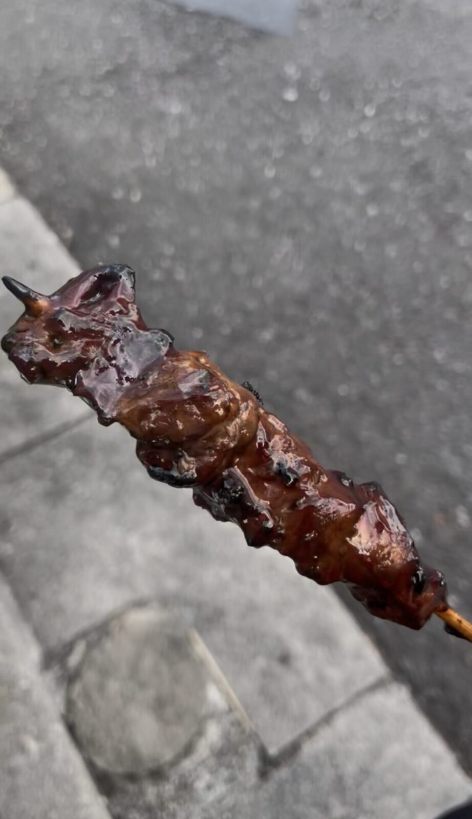 南阿佐ヶ谷「鳥一」大山どりレバー